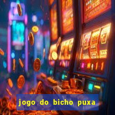 jogo do bicho puxa de dona maria